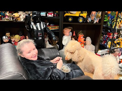 Видео: Пипонька обожает жареные с солью семечки #losangeles 