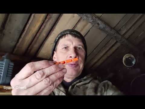 Видео: Взял с Озона новый манок на рябчика. Раньше делали сами, манки из ветки Черёмухи. 05.11.25