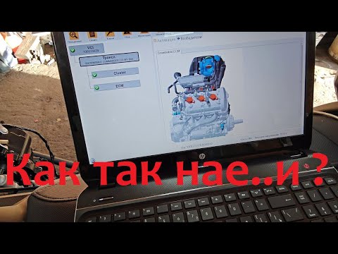 Видео: Диагностика BUDS -2 или как Вас нае ...ют