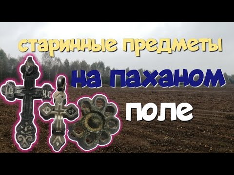 Видео: №191 Старинные предметы на паханом поле. Поиск с ЭКВИНОКС 800.