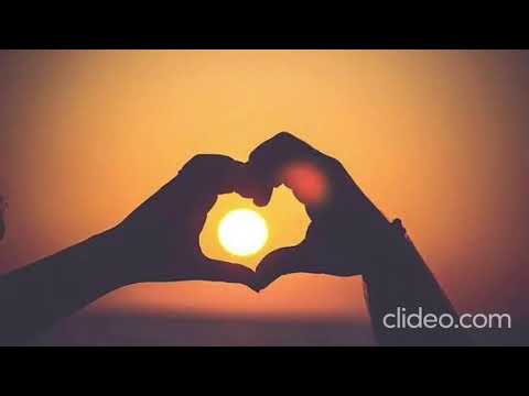 Видео: Гепард-Свела  с ума 