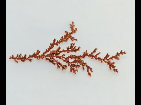 Видео: О выращивании медных дендритов.