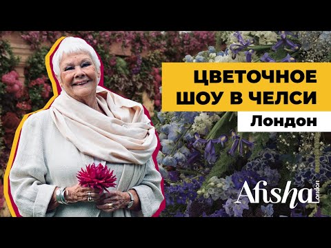 Видео: Цветочное шоу Челси / Chelsea Flower Show. Большой обзор с журналом Afisha.London