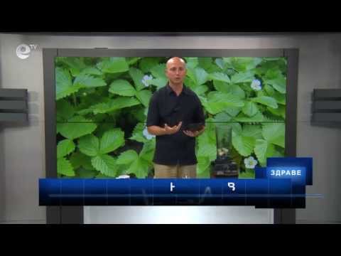 Видео: "Здраве" - Как да се предпазим от горещините и какви диоптрични очила да си изберем