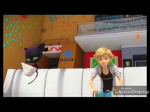 Видео: Леди баг и Супер кот клип Деспасито