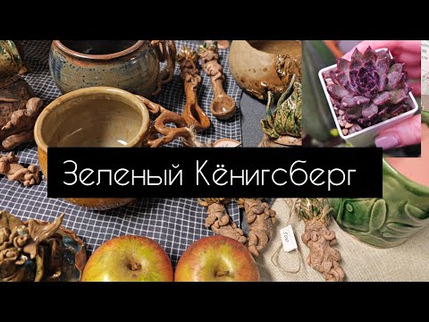 Видео: Зеленый Кёнигсберг 