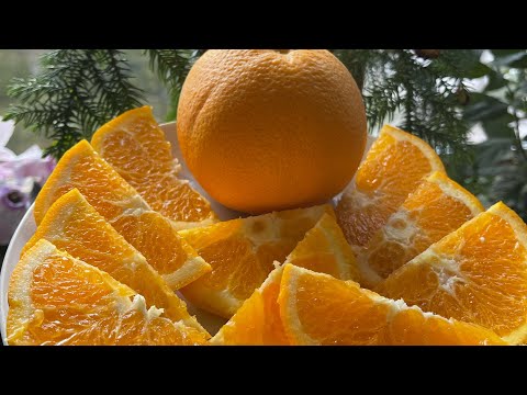 Видео: Апельсин Фишер Навел Fischer Navel orange 🍊