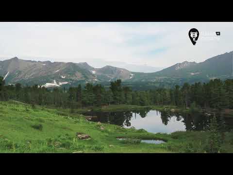 Видео: Наша Сибирь 4К: Золотая долина