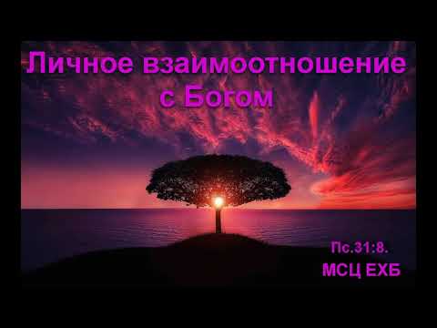 Видео: "Личное взаимоотношение с Богом". П. Н. Ситковский. МСЦ ЕХБ.