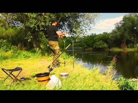 Видео: ШАЛЕНИЙ КЛЬОВ ГУСТЕРИ на РІЧЦІ ЗАХІДНИЙ БУГ! РИБАЛКА на ФІДЕР!