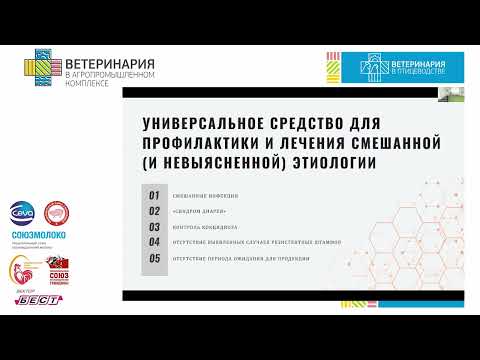 Видео: Касьян Е.Н. Опыт стран БРИКС по выбору антибактериальных средств.