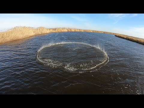 Видео: ЭТИ ГИГАНТЫ ЗАРЯЖАЮТ АДРЕНАЛИНОМ. ОГРОМНЫЕ СИБИРСКИЕ КАРАСИ НА КАСТИНГОВУЮ СЕТЬ. НАКИДКА В ДЕЛЕ...