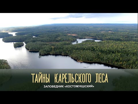 Видео: ЗАПОВЕДНИК «КОСТОМУКШСКИЙ» | Тайны карельского леса