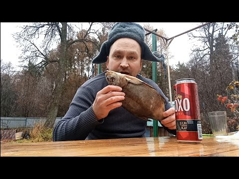 Видео: Пиво "Охота" крепкое с рыбой. #природа #пиво #обзор 