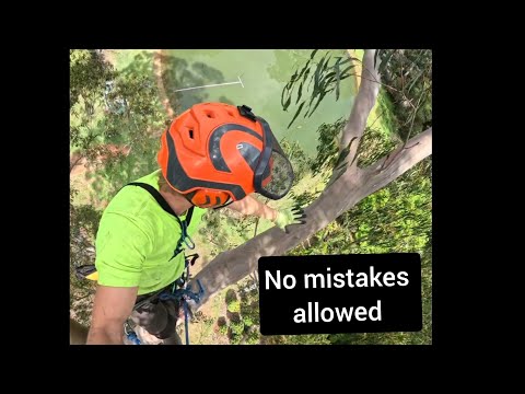 Видео: Работа по дереву в одиночку