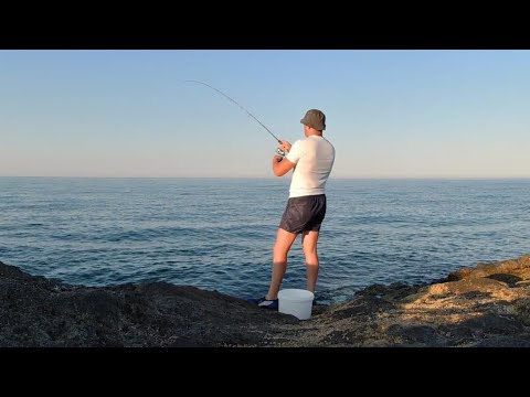 Видео: Риболов на зарган с пилкер - 04.08.23