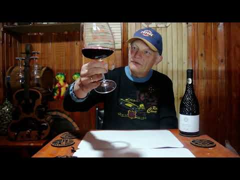 Видео: Отличная новинка из КиБ красное вино Tagaro, "Seicaselle" Negroamaro, Puglia IGT, 2023г за 1399руб.
