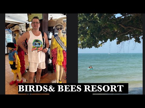 Видео: ТАИЛАНД ПАТТАЙЯ. “ BIRDS & BEES RESORT”- РАЙСКИЙ ОТЕЛЬ НА БЕРЕГУ МОРЯ! САМЫЙ НЕОБЫЧНЫЙ РЕСТОРАН!