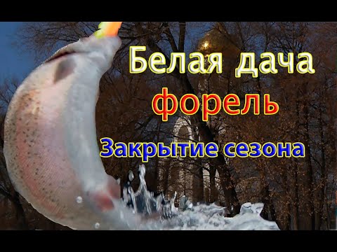 Видео: Закрытие льда по форели на Белой Даче. Народу ТЬМА!!!! Trout from the ice at the White Dacha.