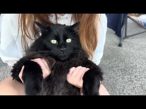 Видео: 244-249 день года. Мой дневник