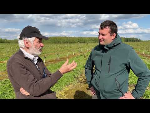 Видео: Как выращивают орехи в Беларуси