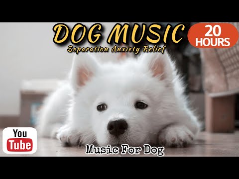 Видео: 20 часов любимой музыки собак🐶💖Музыка для сна собак 🐶🎵 Музыка для снятия беспокойства при разлуке🎵