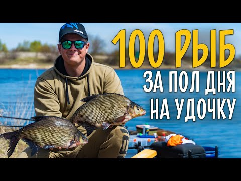 Видео: 100 РЫБ на удочку за полдня! Супер рыбалка на поплавок.