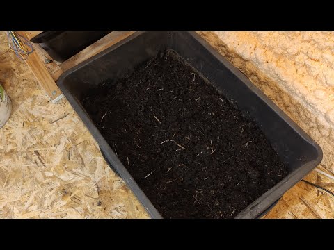 Видео: Мой Субстрат Для Червей Как Я Это Делаю