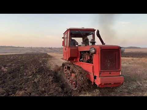 Видео: Дт-75 с ПЛН-4 пашет зябь!