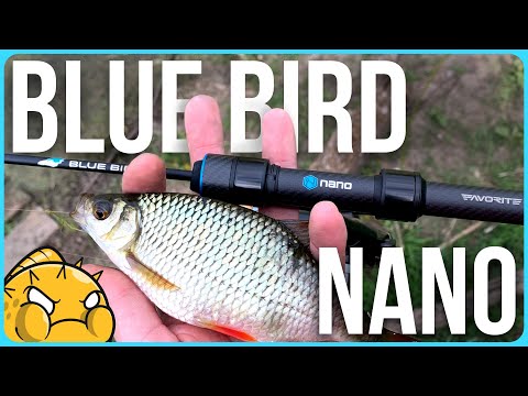 Видео: Мормишинг 🔵 Blue Bird NANO | Перший погляд