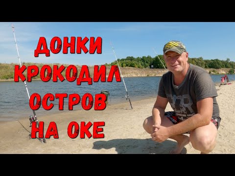 Видео: Донки КРОКОДИЛ на Оке. Рыбалка с ночевкой на острове.