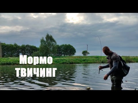 Видео: МОРМЫШИНГ НА КАРАСЯ ЛЕТОМ | ТВИЧИНГ МОРМЫШКОЙ