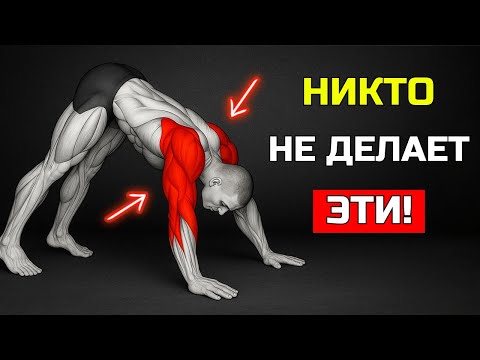 Видео: ЭТИ 6 ОТЖИМАНИЙ ИЗМЕНЯТ ВЕРХНЮЮ ЧАСТЬ ТВОЕГО ТЕЛА