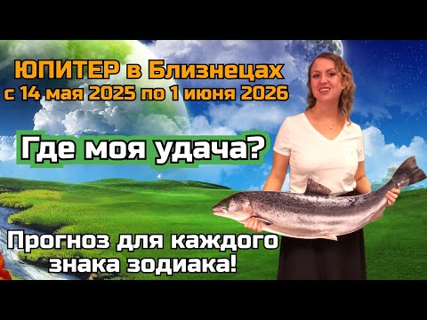 Видео: 🪩♊️ ЮПИТЕР в Близнецах.  АСТРОЛОГИЧЕСКИЙ ПРОГНОЗ для каждого знака зодиака.