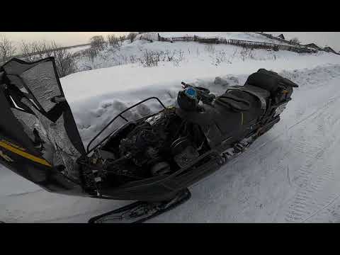 Видео: Друг в беде не бросит..