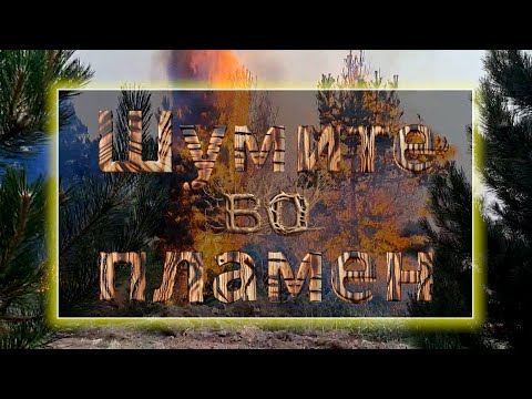 Видео: Шумите во пламен