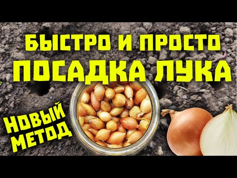 Видео: ЛУЧШИЙ МЕТОД ПОСАДКИ ЛУКА! Как быстро высадить много лука без особых усилий!