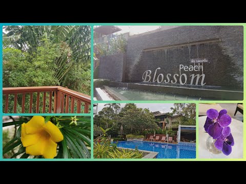 Видео: #влог ОТЕЛЬ PEACH BLOSSOM 4* между Ката и Карон. Март 2023 #Пхукет #Таиланд.