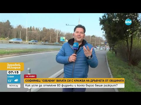 Видео: Мъжът, задигнал дръвчета в София, ги крал на два пъти