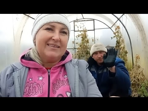 Видео: Сажаем чеснок 🧄. Муж РАБОТАЕТ, а я ЛЕНЮСЬ 😅😉