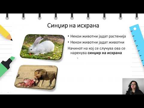 Видео: VI одделение - Природни науки - Локални живеалишта