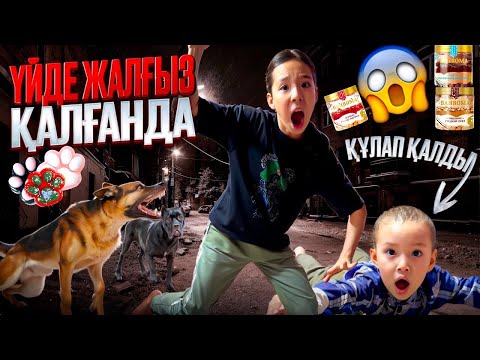 Видео: ҮЙДЕ ЖАЛҒЫЗ ҚАЛҒАНДА👀БАХРОМА ЖЕЙМІН ДЕП ИТКЕ ТАЛАНА ЖАЗДАДЫҚ😱😭🤯
