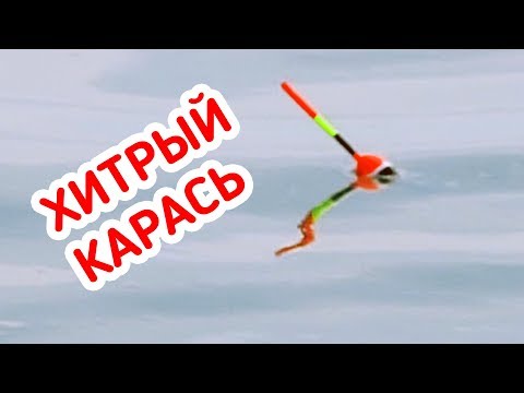 Видео: РЫБАЛКА / КЛЁВ ХИТРОГО КАРАСЯ крупным планом на ПОПЛАВОК!