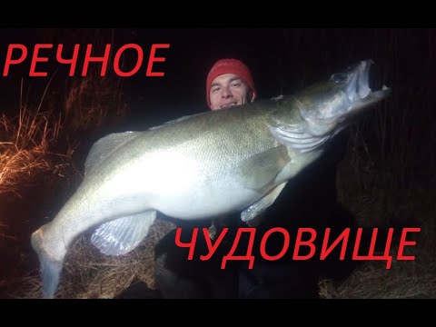 Видео: Судак-МОНСТР!Хозяин Омута!Супер Рекорд!!!Подводная охота 2021!