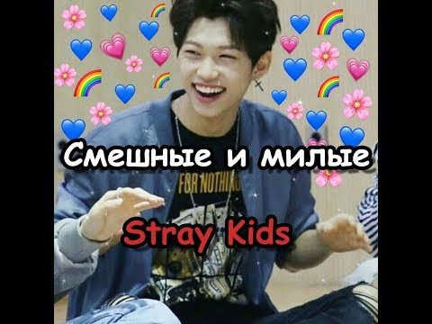 Видео: Смешные и милые моменты со Stray Kids