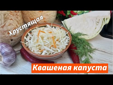 Видео: Квашеная капуста быстрого приготовления  рецепт проверенный годами Все секреты приготовления капусты