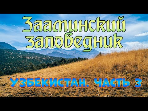 Видео: Узбекистан. Часть 3. Зааминский заповедник