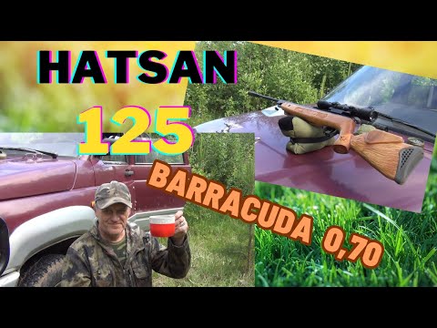 Видео: # HATSAN 125#Баракуда 070. 35м.