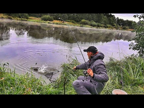 Видео: НЕ ОЖИДАЛ ТАКОГО ! РЫБАЛКА С НОЧЕВКОЙ НА ДОНКИ! Рыбалка  на карпа осенью