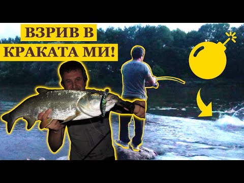 Видео: Риболов на РАСПЕР в Мътна Вода с Воблери! ВЗРИВ в Краката ми! // Asp Spinning Fishing in Murky Water